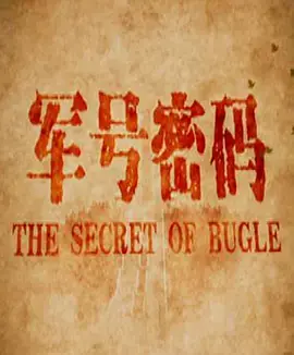 《军号密码》全集高清完整版在线观看与剧情解析