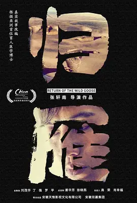 《归雁2019》全集高清完整版在线观看与剧情解析