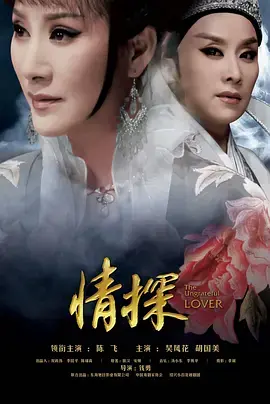 《情探2017》全集高清完整版在线观看与剧情解析