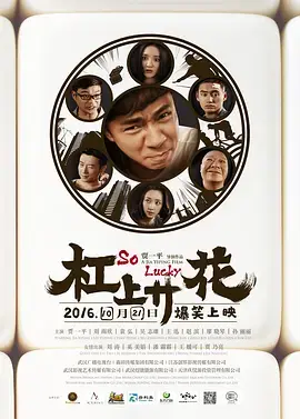 《杠上开花》全集高清完整版在线观看与剧情解析