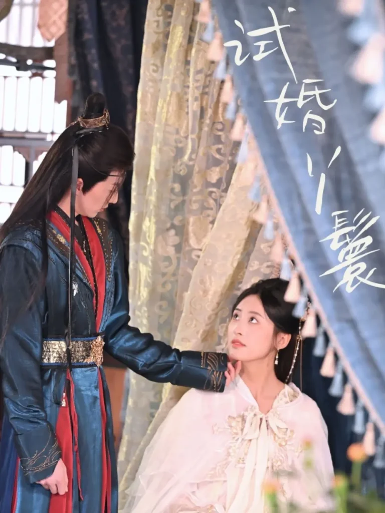 《试婚丫鬟》全集高清完整版在线观看与剧情解析