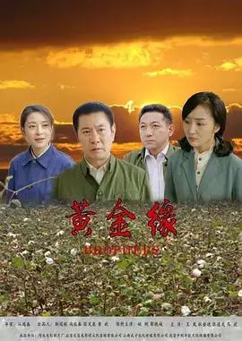 《黄金缘》全集高清完整版在线观看与剧情解析