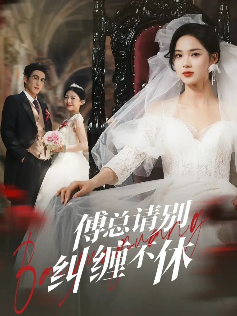 《傅总请别纠缠不休》全集高清完整版在线观看与剧情解析