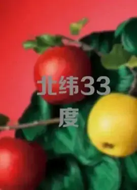 《北纬33度》全集高清完整版在线观看与剧情解析