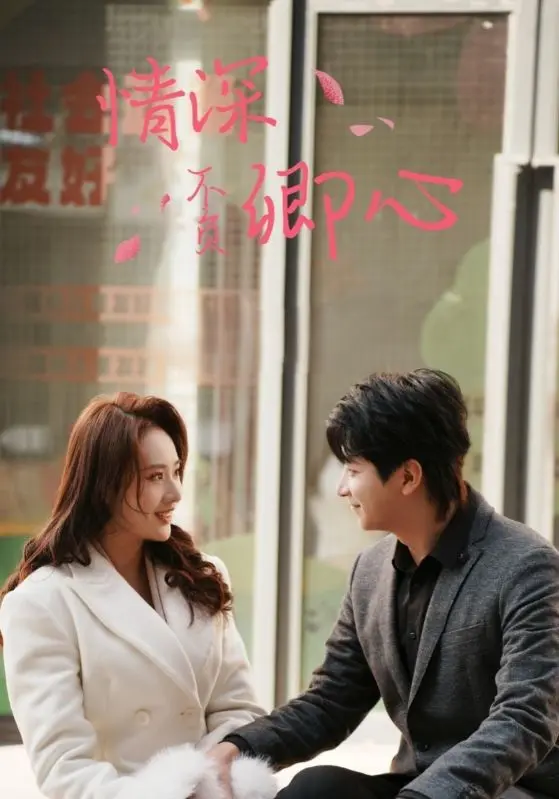 《情深不负卿心》全集高清完整版在线观看与剧情解析