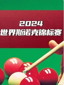 《斯诺克球员锦标赛第一轮&1/4决赛 肖国栋6-5吴宜泽20250320》全集高清完整版在线观看与剧情解析