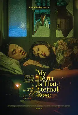 《杀手蝴蝶梦》全集高清完整版在线观看与剧情解析