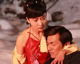 《梦断韶华》全集高清完整版在线观看与剧情解析