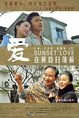 《爱在黄昏日落前》全集高清完整版在线观看与剧情解析