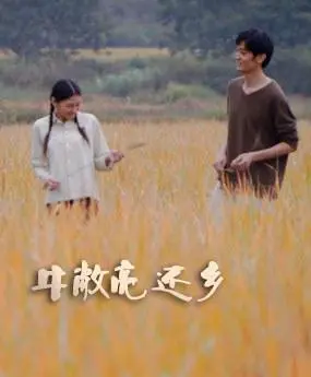 《牛敞亮还乡》全集高清完整版在线观看与剧情解析