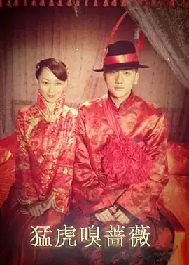 《猛虎嗅蔷薇》全集高清完整版在线观看与剧情解析