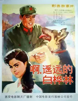 《白桦林中的哨所》全集高清完整版在线观看与剧情解析