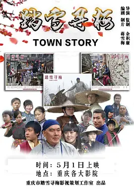 《踏雪寻梅2015》全集高清完整版在线观看与剧情解析