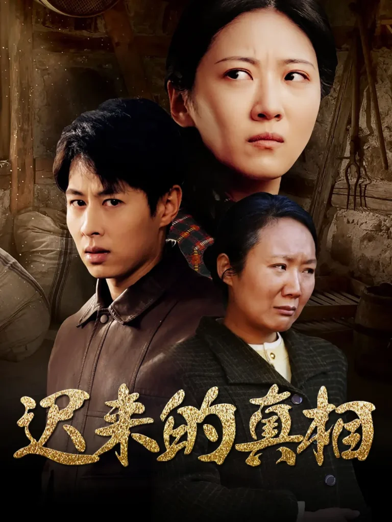 《迟来的真相&因果》全集高清完整版在线观看与剧情解析